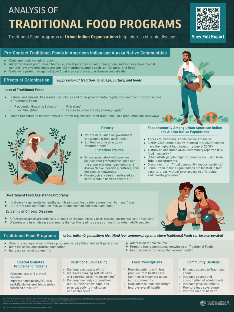 Analysis of Traditional Food Programs (Print Poster)