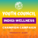 NCUIH Youth Council Indigi-Wellness Campaign