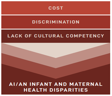 AI/AN Infant and Maternal Health Disparities